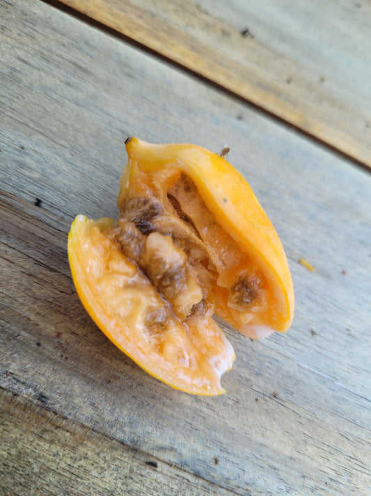 Eichblattpapaya 10 Samen